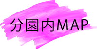 bunen_ｍap_t.png(21154 byte)